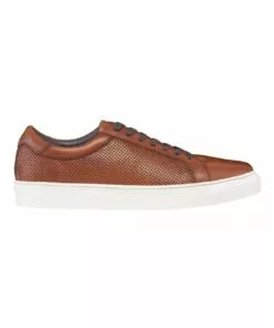 AQ by Aquila Smith Leather Sneakers