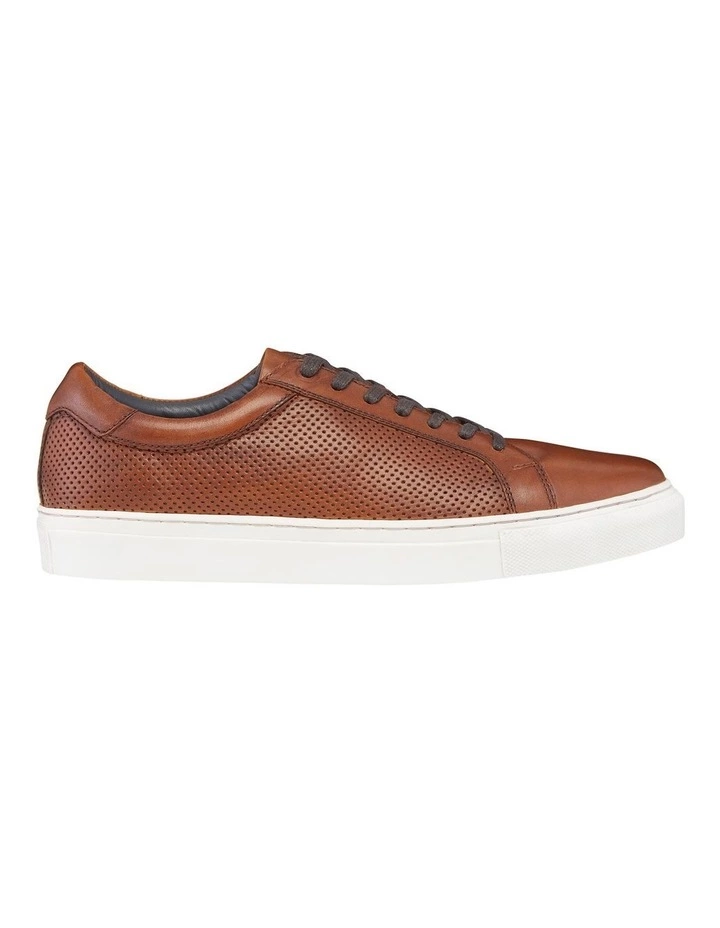 AQ by Aquila Smith Leather Sneakers 1 AQ by Aquila Smith Leather Sneakers