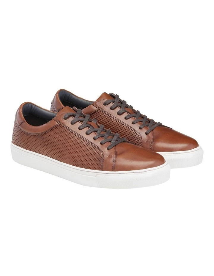 AQ by Aquila Smith Leather Sneakers 3 AQ by Aquila Smith Leather Sneakers - Image 3